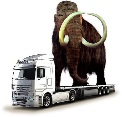 поиск грузов